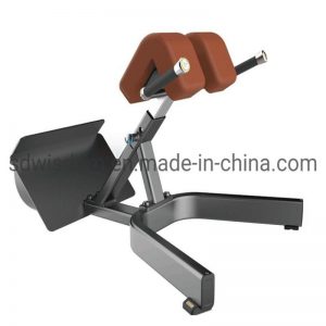 Home-Fitness-Machine-Gym-Equipment-Wisdom-Fitness-Back-Extension-Roman-Chair-Strength-Machine