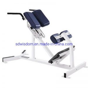 Wholesale-Commercial-Fitness-Equipment-Seated-Back-Extension-Hammer-Strength-Machine