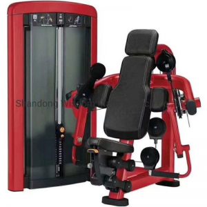 New-Design-High-Quality-Seated-Biceps-Curl-for-Commercial-Gym