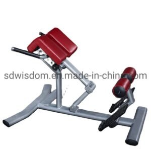 Home-Fitness-Machine-Gym-Equipment-Professional-Wisdom-Fitness-Roman-Chair-Back-Extension-Strength-Machine